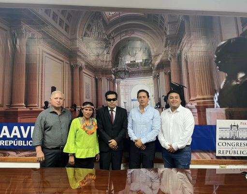 PARTIDO PERU LIBRE Y SOMOS PERU CONTRA LAS ONG EXTREMISTAS.