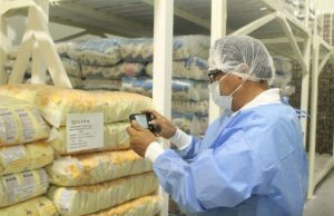 QALI WARMA LLEGA CON ALIMENTOS A 23,716 ESTUDIANTES EN IQUITOS Y DISTRITOS METROPOLITANOS