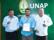 MILLONES HECTÁREAS DE AGUAJALES DE LORETO ALMACENAN 3 MIL MILLONES DE TONELADAS DE CARBONO