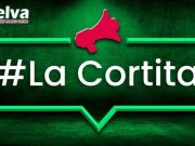 A DOS AÑOS DE LA PARTIDA DEL TUCÁN