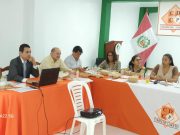 DECANA DEL COLEGIO DE ABOGADOS CONTRA EL DESARROLLO DE LORETO