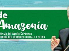 EL TREN ECOLÓGICO Y EL “PLAN MARSHAL” DE LA AMAZONIA.